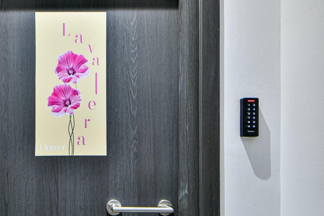 Flowers Of Athens, Boutique Aparthotel With 6-Apartments In Central เอเธนส์ ภายนอก รูปภาพ