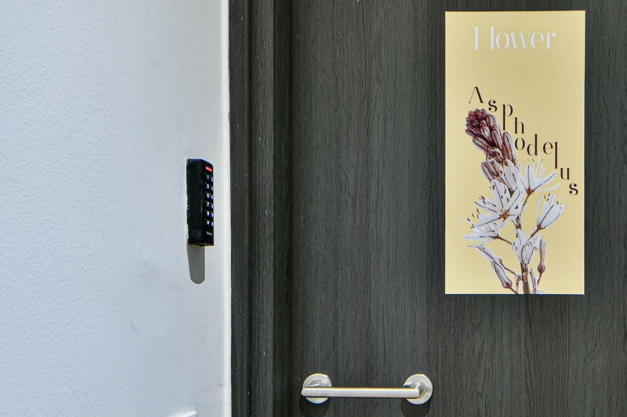 Flowers Of Athens, Boutique Aparthotel With 6-Apartments In Central เอเธนส์ ภายนอก รูปภาพ